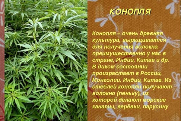 Онион сайты